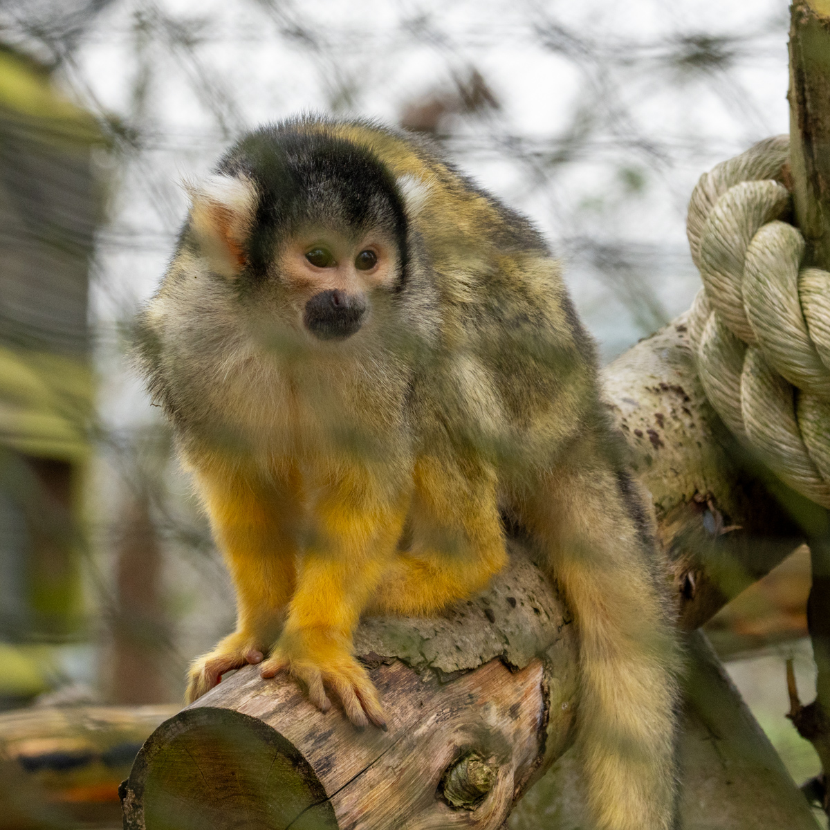 Photography by Chris Allington